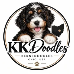 KK Doodles logo: a tri-color Bernedoodle puppy above the words KK Doodles, Bernedoodles, Ohio, USA